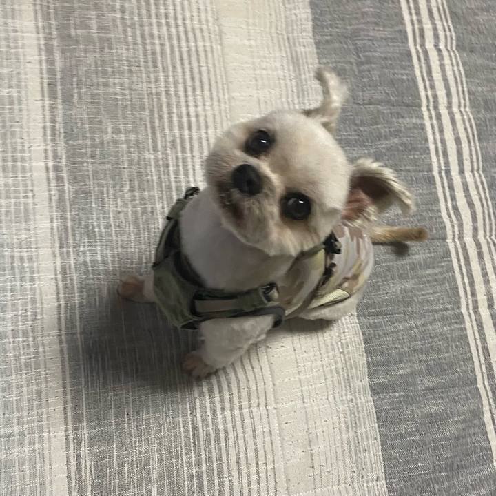 F0a9978e d766 4914 8f3a b57a6049251e 1723290603451