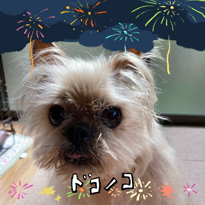 F0a99dfd dbda 4ab0 8866 a0d23af32d18 1723331810523