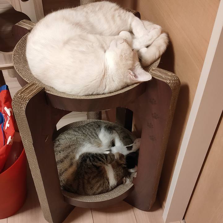 F0a9dfa0 4a12 4e2f 9f5f d259b9e2850a 1659708465661