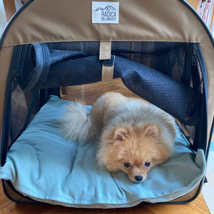 F0aa8613 ac13 4858 a206 fb690606c2ce 1657509441542