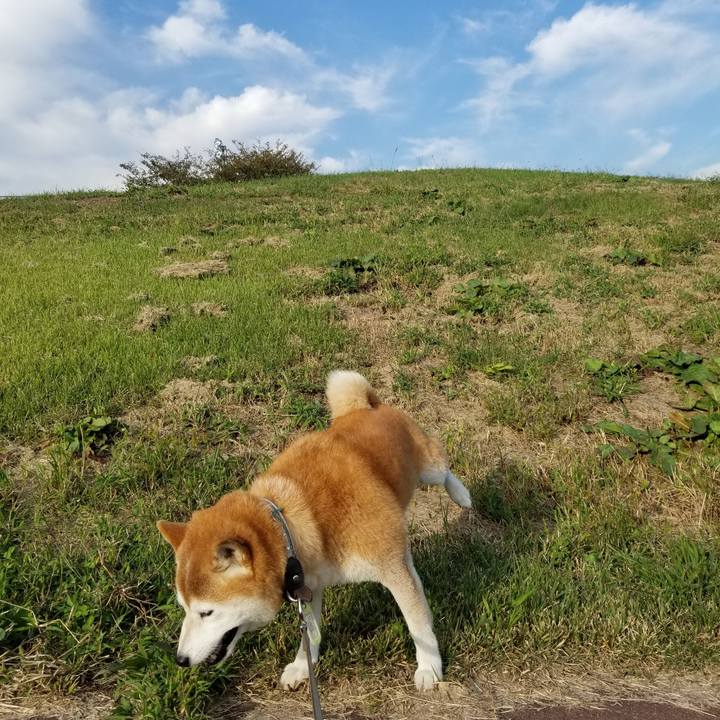 F0aab6cf 952e 4fa8 823e 51db125f38c9 1664865385597