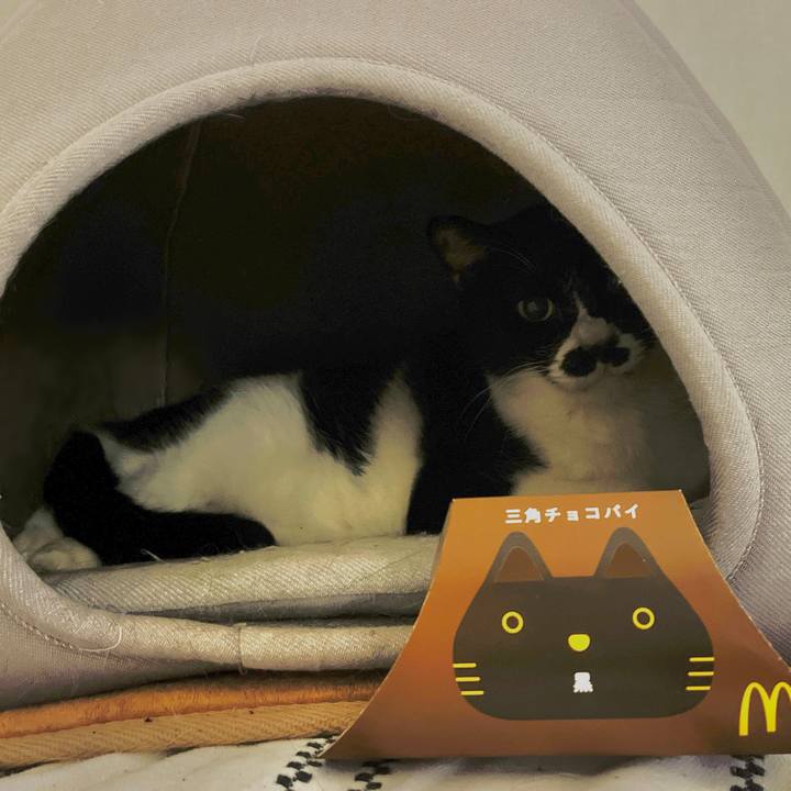 F0ab3454 bbda 42b6 9149 a96c3bb33431 1699920334464