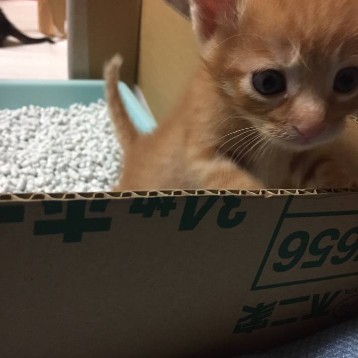 F0ab45bf 8d89 4b08 9429 dfd3cb2e74b0 1532910266480