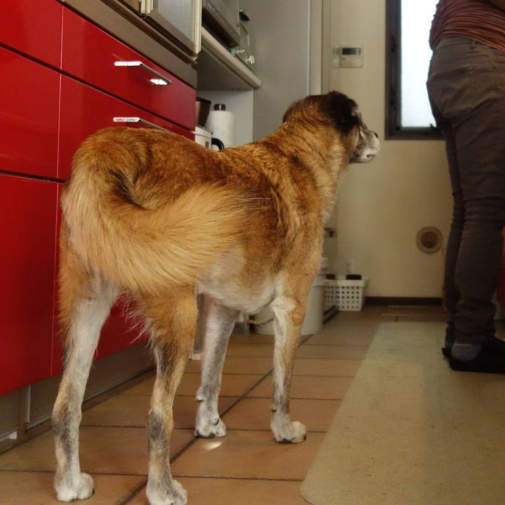 F0ab7e02 0dff 411c 8940 893f19a13ef6 1573171750948