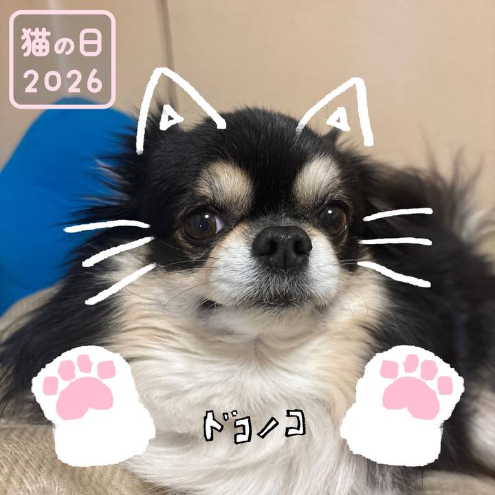 F0ab827f 390d 46f4 9ab9 3f23a7b2a3cc 1771726193414