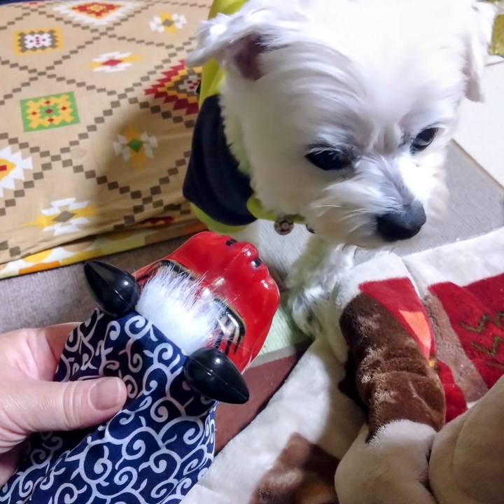 F0ab9e8c a9cf 444b 907f 762e624e067f 1734611038326