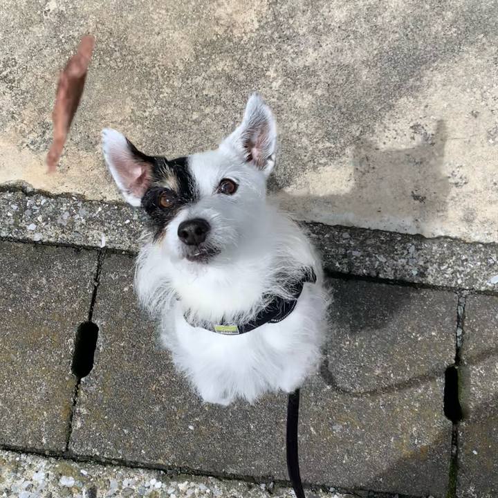 F0abe4e5 774e 40a5 92b0 d828841e8adf 1748998031739