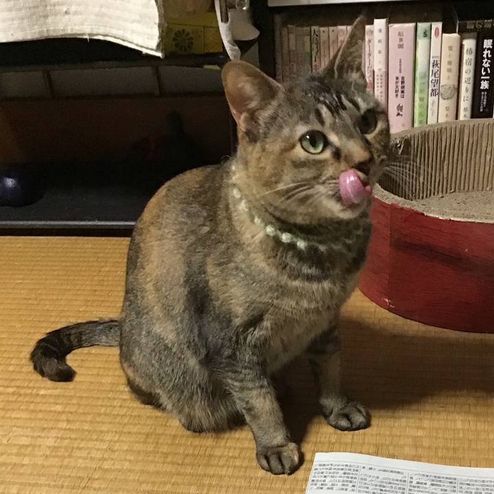 F0abef7a 4551 4d7a a8ce ceacabb45a6f 1646040642216