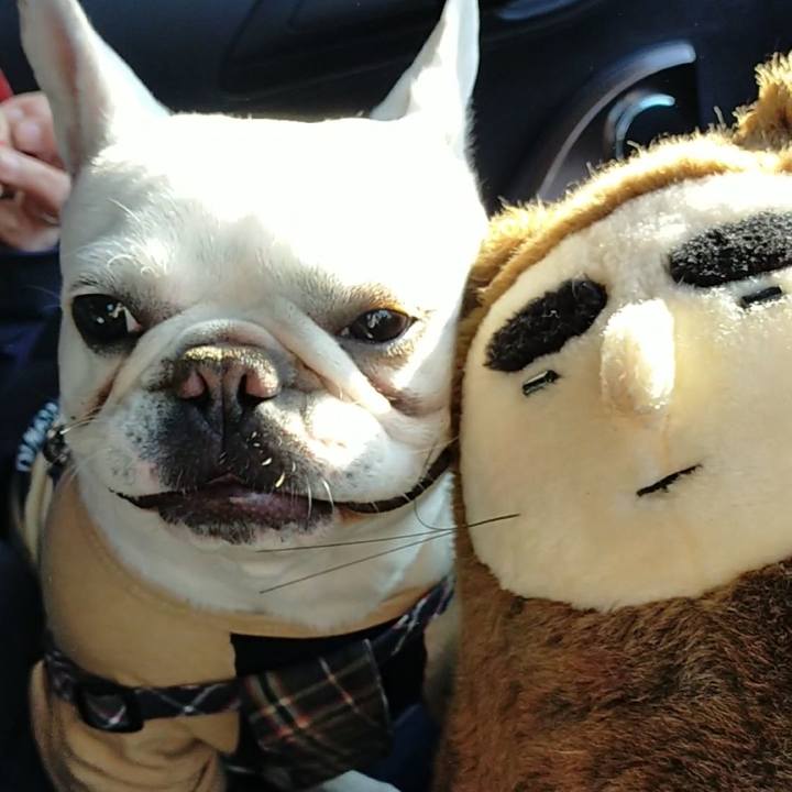 F0abff55 226b 4bcc b9ef 4cfe6d189a78 1645914454118