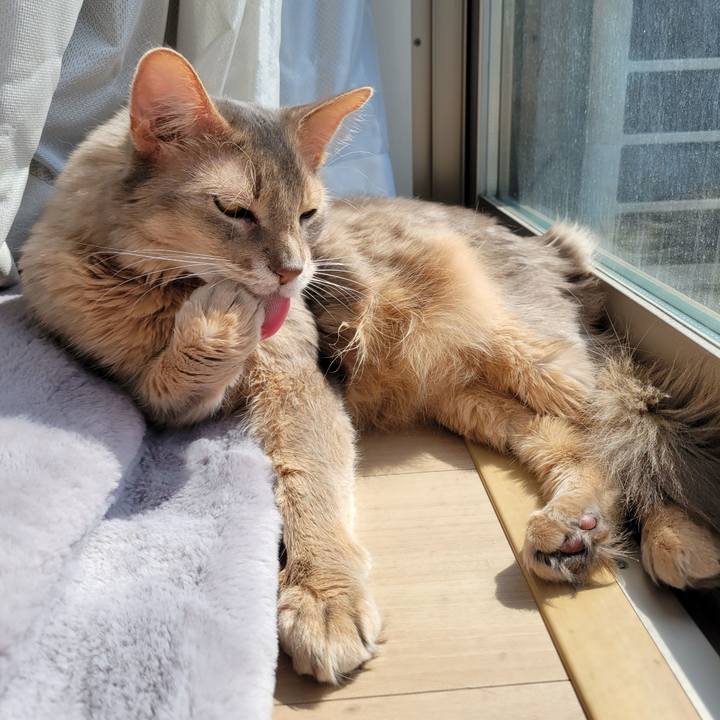 F0ac1f0e 539e 4b39 921d 74132bbcb5e9 1679200624612