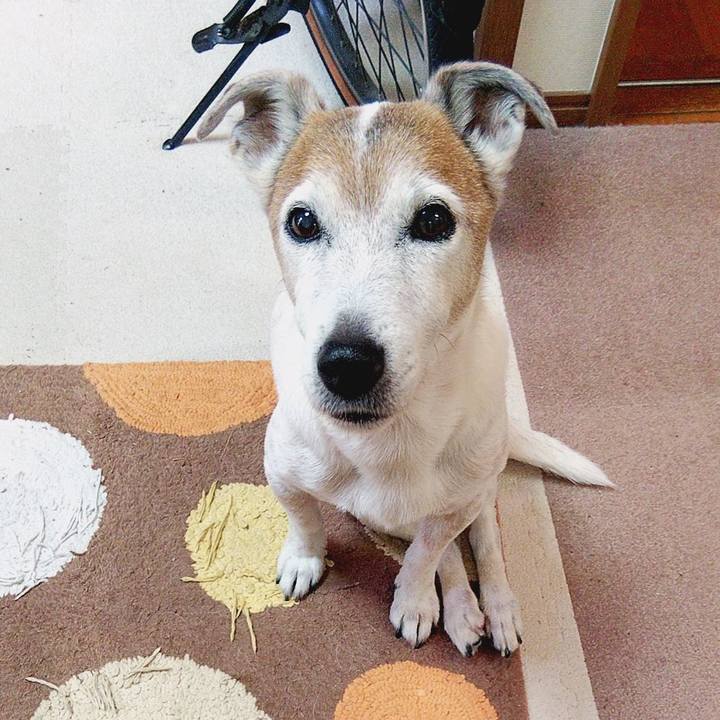 F0ac294c b4db 4ec5 b653 d1315428dfdb 1586386762297