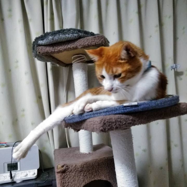 F0ac4c18 3b65 468a a16c 03e8007b5695 1582238352307