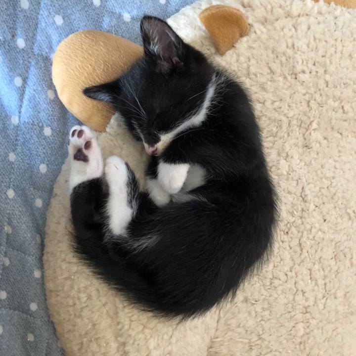 F0acb024 9f24 45a6 bf62 6bb1246984a8 1537594961844