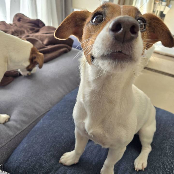 F0acb131 d4fc 473c 9fd5 9b177396da05 1770175743139