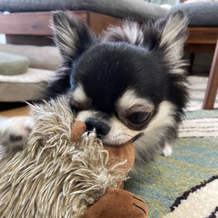 F0ad102b eddd 463c b46c a5269bbd4138 1629520577614