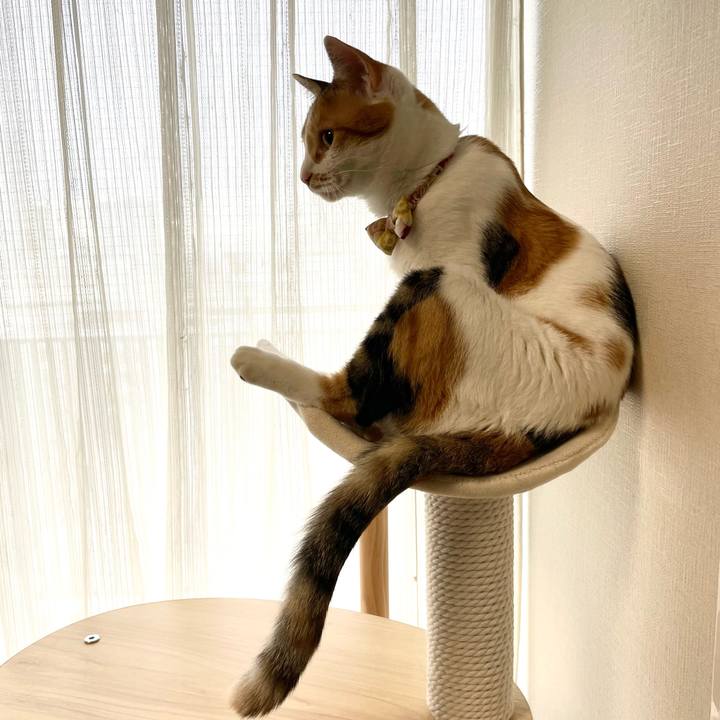 F0ad1eca 5c1c 41c0 8c06 ab1a50e141b1 1635738040701