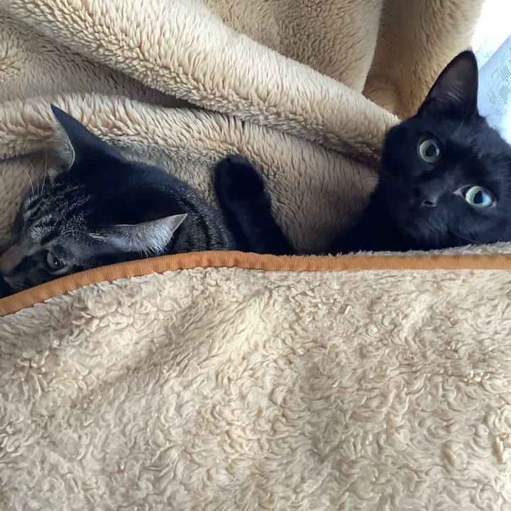 F0ad2f1c 5b0b 4cd5 9af7 d2ab254e8cc5 1638010922196