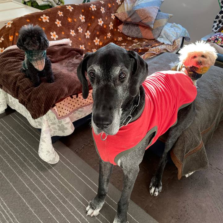 F0ad395d 4afd 4444 802d 20b16b570dc9 1613601272095