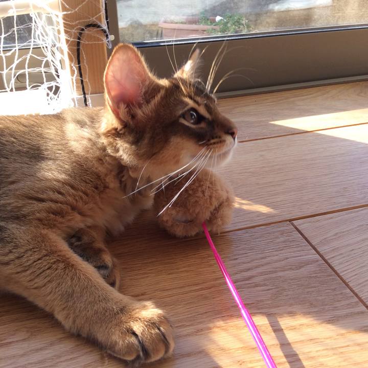 F0ad4941 e4a3 43c1 bb75 e4c77f1ceac1 1573712942104