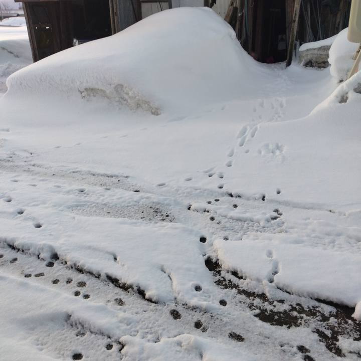 F0ad62fd 83b9 4556 9b6c ac2d634096e9 1677455084908