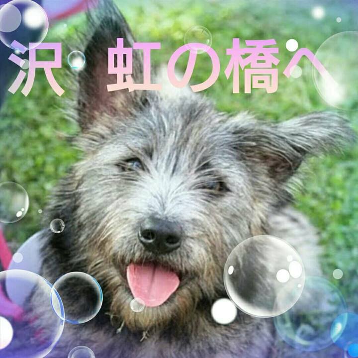 F0ad91a7 675d 4d2e 9e55 386511e11caf 1625114275691