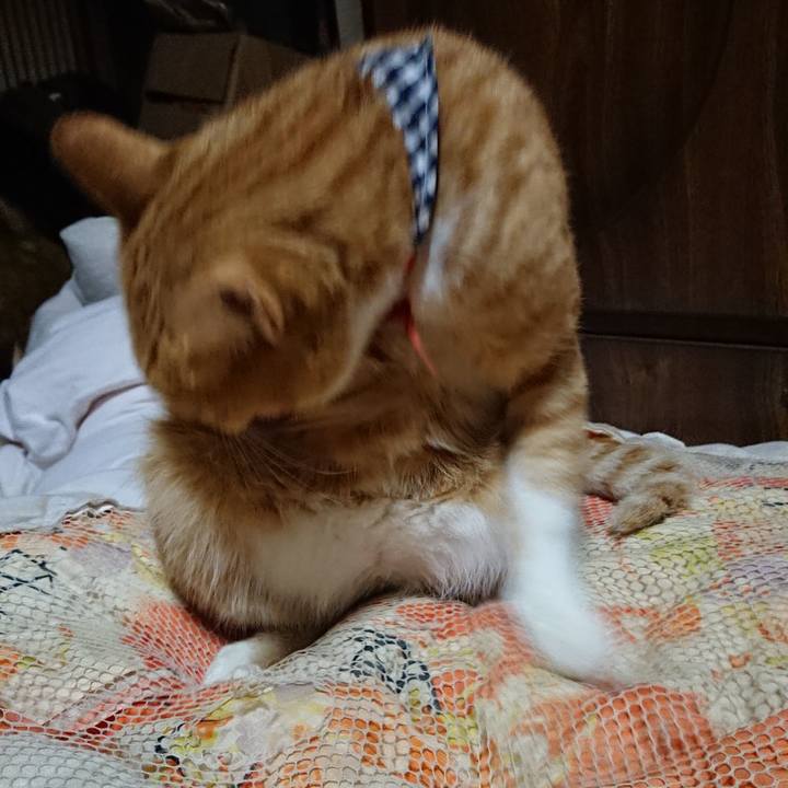 F0adc47e f934 446a aad2 13f034299a4d 1569416649958