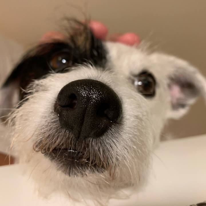 F0adefd8 3189 41f9 b15f b8d74320093b 1626260441116