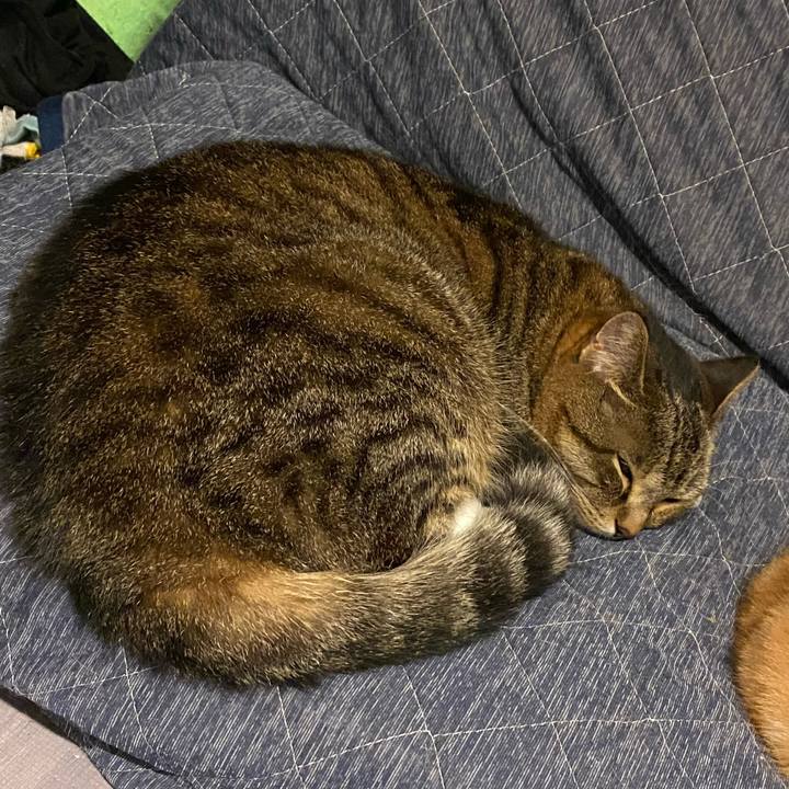 F0ae6815 684e 4439 804a 4da5b58541e6 1625293102429