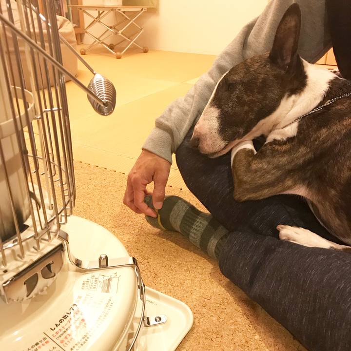 F0aeea2e 6dbd 421e 8fa7 d290a3cb3015 1515407291407