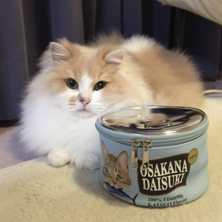 F0af3cab 7335 4f61 806b 8b213e356f9f 1546218703496