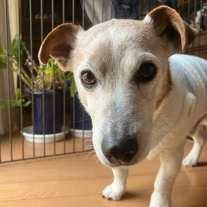 F0af5a50 2bfa 4b80 aa28 ecd547e4e6d8 1772161457917