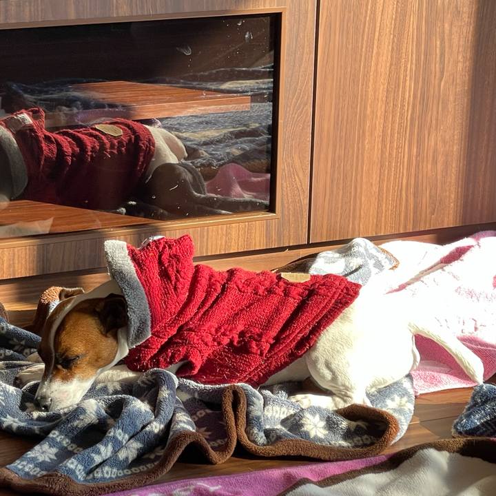 F0af5bff cc05 4309 9fe2 ccd6a31fc0b5 1643158514013