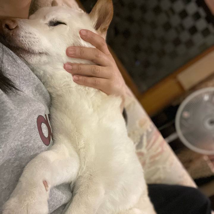 F0af6496 b21e 42e5 adf8 203f2e68fdda 1645270648083