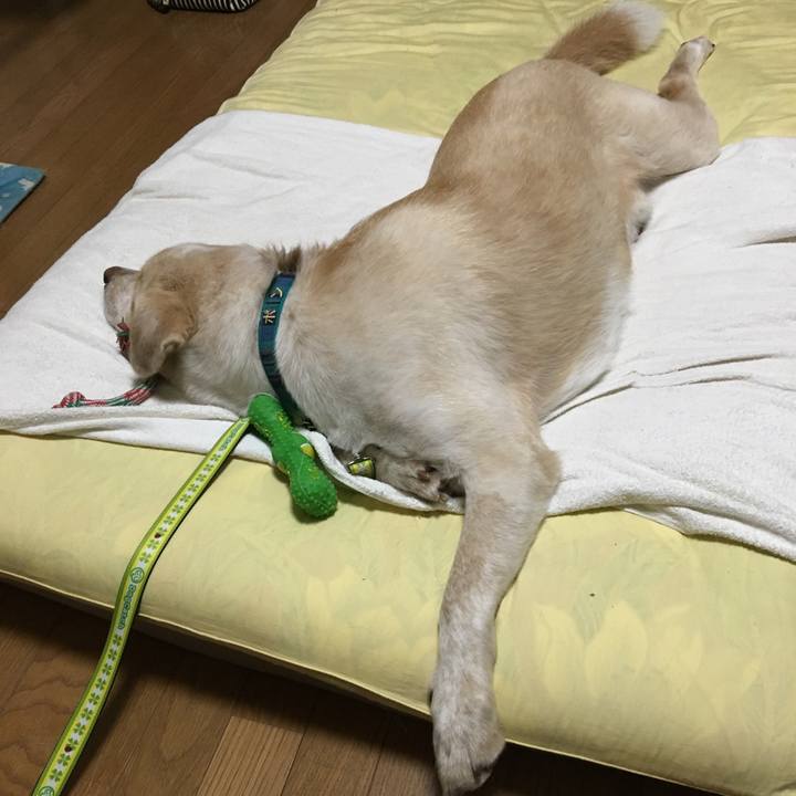 F0af7d29 0464 428b 9d03 783806a70a11 1530111228446