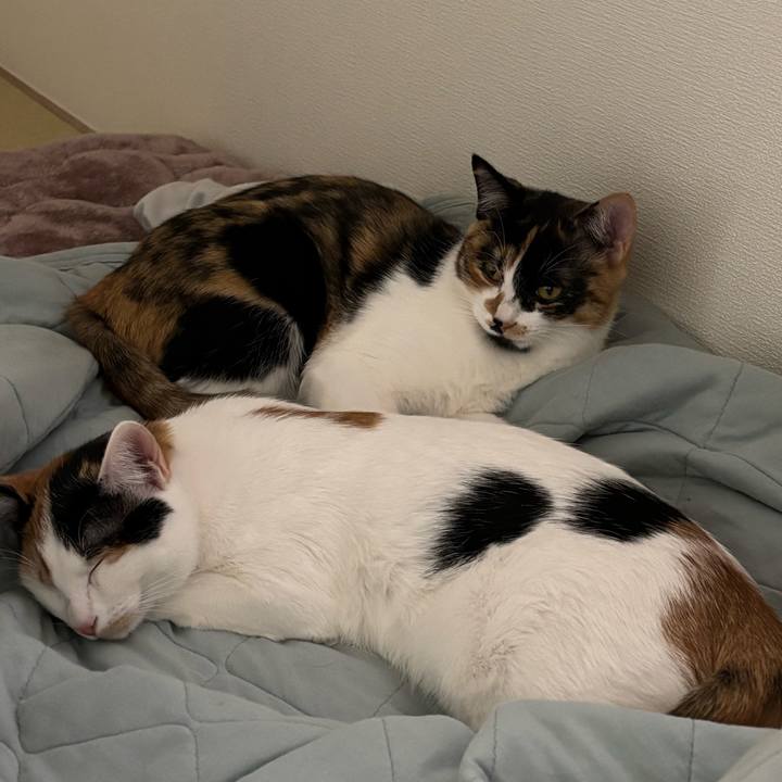 F0af7eef 967e 4235 835c ca2c8de04273 1765788346972