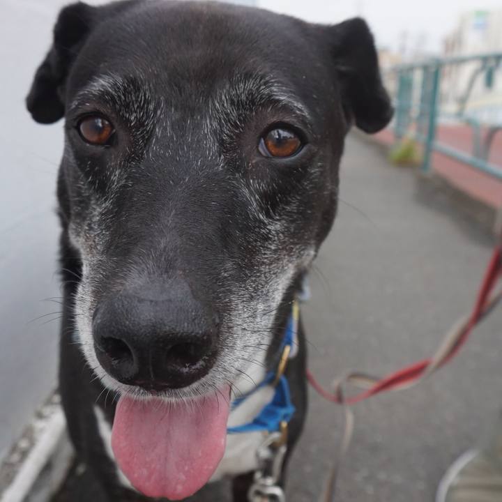 F0af935a 3c1b 4c42 98ee ae8f1a5062eb 1755045734479