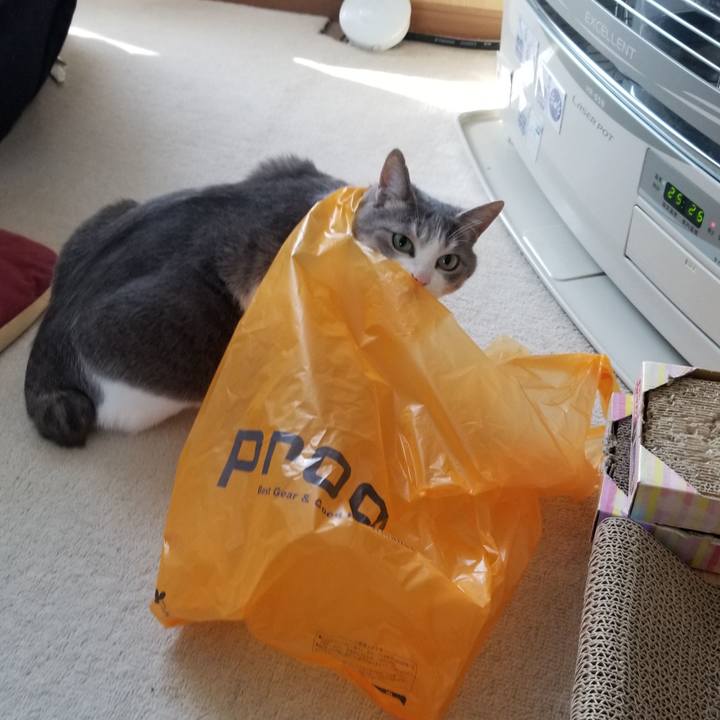 F0af9b86 cde5 4404 afd1 7a28fc2ab0d8 1652275451851