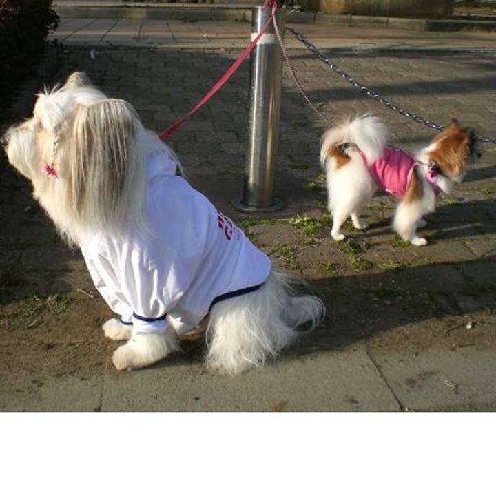 F0afb6f7 ff94 4554 a655 f0b7a4b2e260 1515214324080