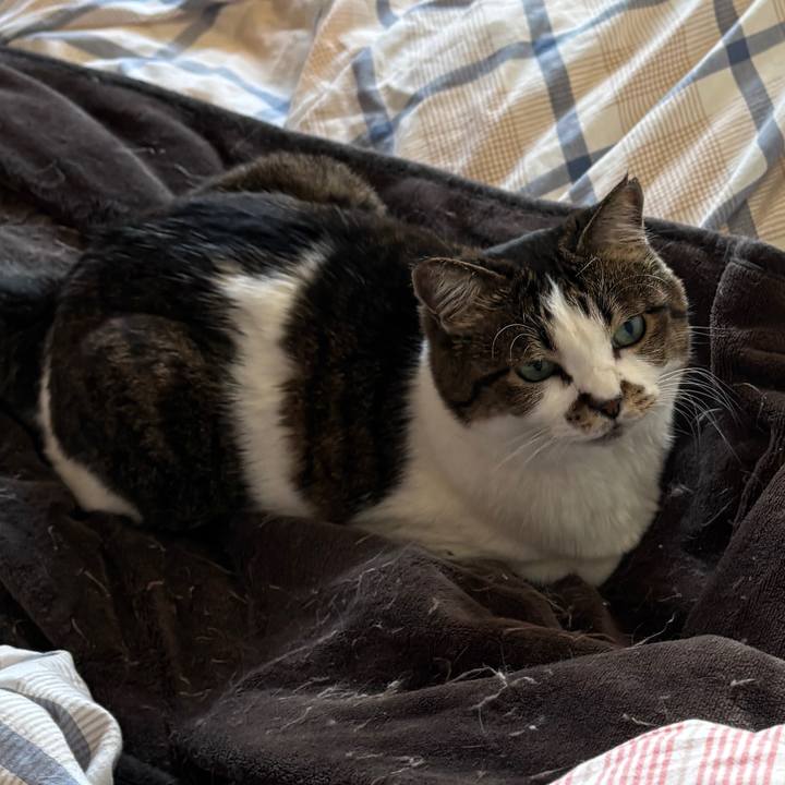 F0aff872 fcef 4b94 839f 412819c41121 1764284599365