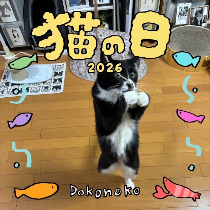 F0b01eb1 2391 4099 866d 423deba537c4 1771751061739