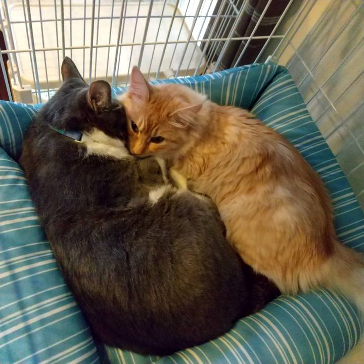 F0b0640c 5716 4621 9118 9af2df4224a4 1620203454017