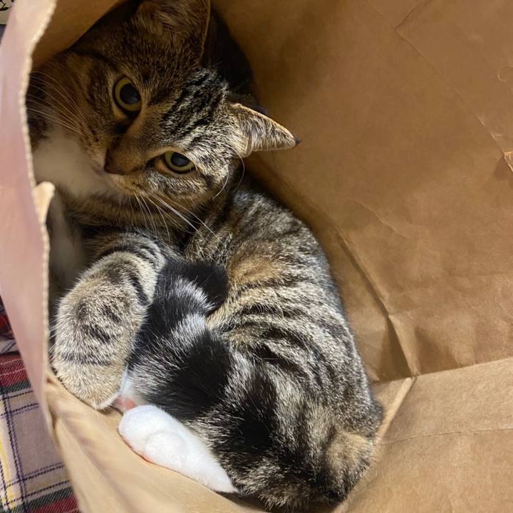 F0b0aee5 79c6 4a36 a7f1 b167c839dd7d 1624150348717