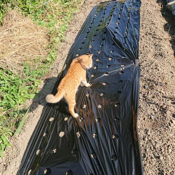 F0b0b1d8 ed09 4d23 b964 77ec918f1009 1567908597386