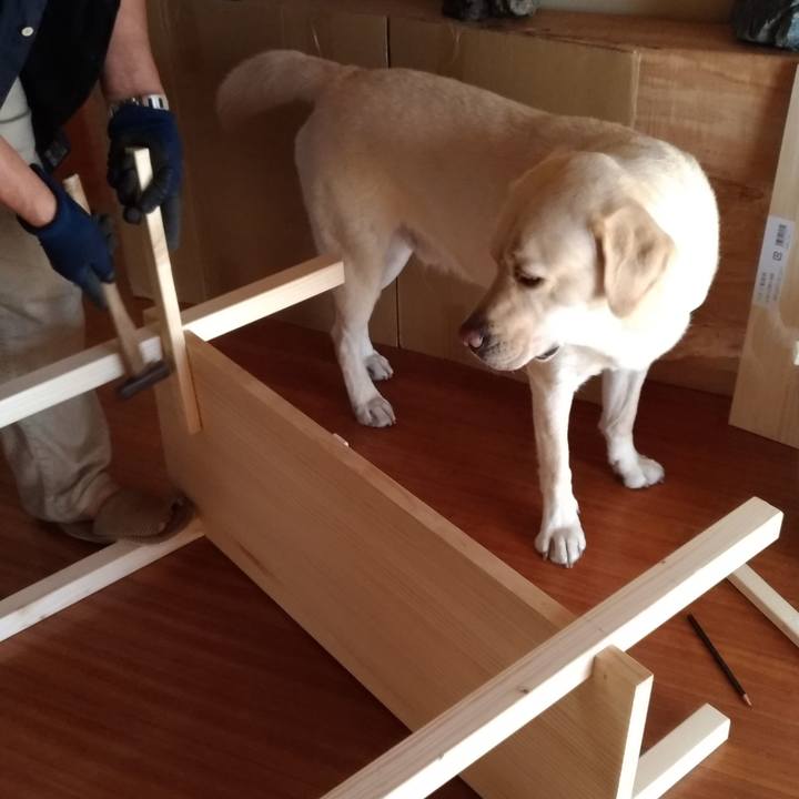 F0b0ba0f 2ef5 4427 99dc 08969a55cd1f 1540094206340