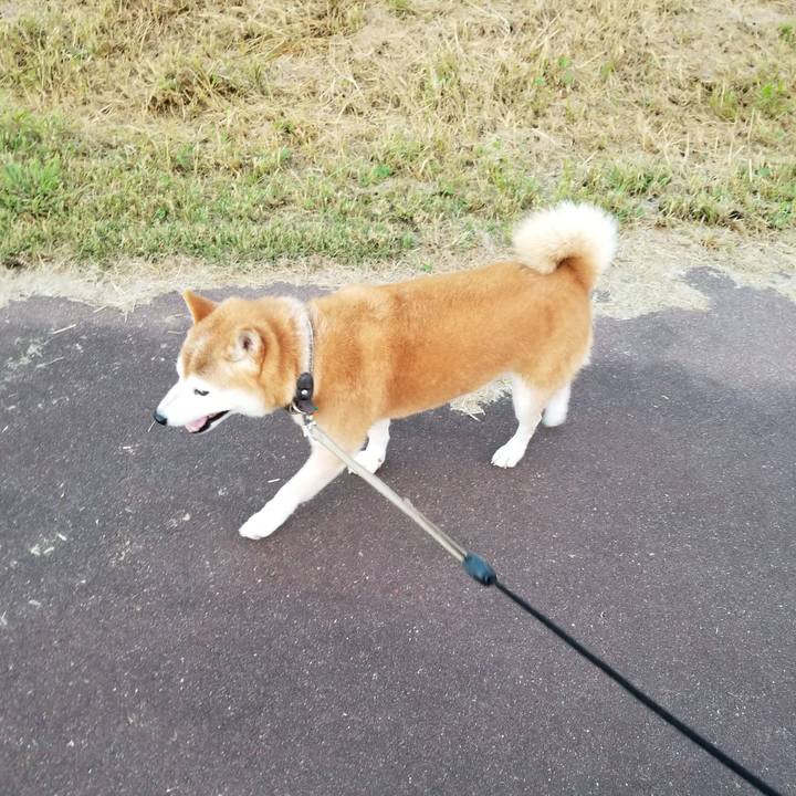 F0b0c92f 14a1 4cf7 b179 8894c608b606 1663317751957