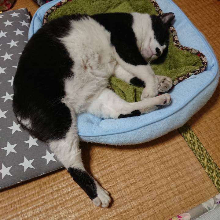 F0b0ca1a 5ce1 4013 99ff 359335f67efd 1526891159194