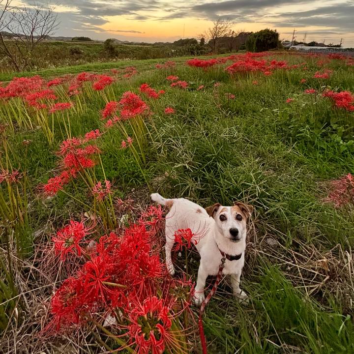 F0b0dc50 f505 475c 8d0e 752e8ec2c366 1760010829980