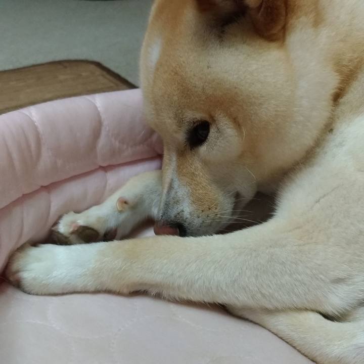 F0b0e129 d8e5 4c80 9b19 ed18a8bde848 1594468151911