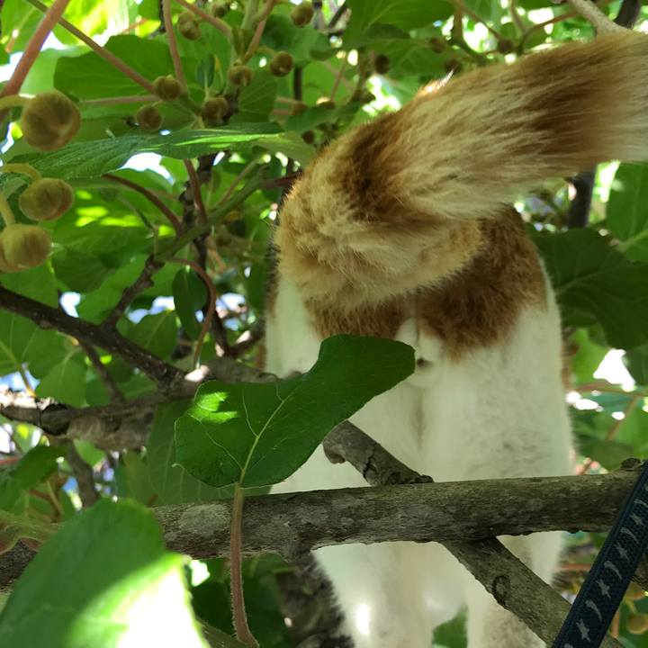 F0b0f389 940d 46af 9b19 dbf8c187cee4 1527148773823