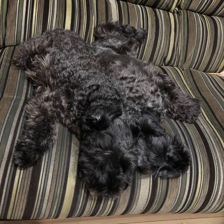 F0b137c4 e288 4591 8773 23ad10ce67ff 1572605449206